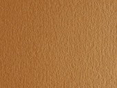 FABRIANO BRISTOL 35X50 GR 220 AVANA - Conf. da 10